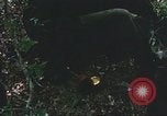 Image of United States soldiers South Vietnam, 1967, second 7 stock footage video 65675062026