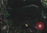 Image of United States soldiers South Vietnam, 1967, second 8 stock footage video 65675062026