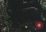 Image of United States soldiers South Vietnam, 1967, second 9 stock footage video 65675062026