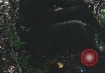 Image of United States soldiers South Vietnam, 1967, second 10 stock footage video 65675062026
