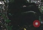 Image of United States soldiers South Vietnam, 1967, second 11 stock footage video 65675062026