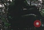 Image of United States soldiers South Vietnam, 1967, second 12 stock footage video 65675062026