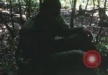 Image of United States soldiers South Vietnam, 1967, second 15 stock footage video 65675062026