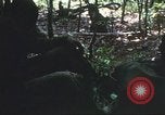 Image of United States soldiers South Vietnam, 1967, second 19 stock footage video 65675062026
