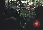Image of United States soldiers South Vietnam, 1967, second 20 stock footage video 65675062026