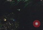 Image of United States soldiers South Vietnam, 1967, second 35 stock footage video 65675062026