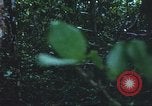Image of United States soldiers South Vietnam, 1967, second 36 stock footage video 65675062026