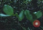 Image of United States soldiers South Vietnam, 1967, second 37 stock footage video 65675062026