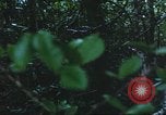 Image of United States soldiers South Vietnam, 1967, second 38 stock footage video 65675062026