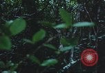 Image of United States soldiers South Vietnam, 1967, second 39 stock footage video 65675062026