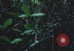 Image of United States soldiers South Vietnam, 1967, second 40 stock footage video 65675062026