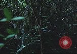 Image of United States soldiers South Vietnam, 1967, second 41 stock footage video 65675062026