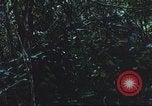 Image of United States soldiers South Vietnam, 1967, second 43 stock footage video 65675062026
