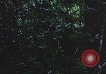 Image of United States soldiers South Vietnam, 1967, second 45 stock footage video 65675062026