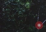 Image of United States soldiers South Vietnam, 1967, second 46 stock footage video 65675062026