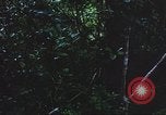 Image of United States soldiers South Vietnam, 1967, second 47 stock footage video 65675062026
