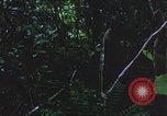 Image of United States soldiers South Vietnam, 1967, second 49 stock footage video 65675062026