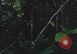 Image of United States soldiers South Vietnam, 1967, second 51 stock footage video 65675062026