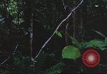 Image of United States soldiers South Vietnam, 1967, second 52 stock footage video 65675062026
