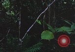 Image of United States soldiers South Vietnam, 1967, second 53 stock footage video 65675062026