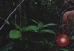 Image of United States soldiers South Vietnam, 1967, second 56 stock footage video 65675062026