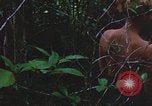 Image of United States soldiers South Vietnam, 1967, second 57 stock footage video 65675062026
