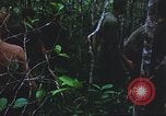 Image of United States soldiers South Vietnam, 1967, second 61 stock footage video 65675062026