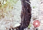 Image of United States soldiers South Vietnam, 1967, second 18 stock footage video 65675062027
