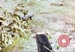 Image of United States soldiers South Vietnam, 1967, second 19 stock footage video 65675062027