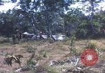 Image of United States soldiers South Vietnam, 1967, second 24 stock footage video 65675062027