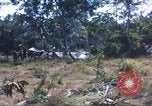 Image of United States soldiers South Vietnam, 1967, second 25 stock footage video 65675062027