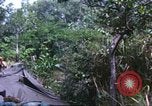 Image of United States soldiers South Vietnam, 1967, second 55 stock footage video 65675062027
