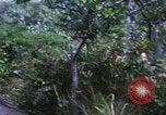 Image of United States soldiers South Vietnam, 1967, second 56 stock footage video 65675062027