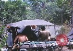 Image of United States soldiers South Vietnam, 1967, second 60 stock footage video 65675062027