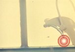 Image of 6th convalescent center Vietnam, 1969, second 38 stock footage video 65675062029