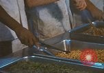 Image of 6th convalescent center Cam Ranh Bay Vietnam, 1969, second 25 stock footage video 65675062034