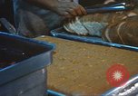 Image of 6th convalescent center Cam Ranh Bay Vietnam, 1969, second 45 stock footage video 65675062034