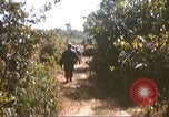 Image of 1st Infantry Division Lai Khe South Vietnam, 1968, second 22 stock footage video 65675062035