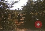 Image of 1st Infantry Division Lai Khe South Vietnam, 1968, second 23 stock footage video 65675062035