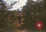 Image of 1st Infantry Division Lai Khe South Vietnam, 1968, second 24 stock footage video 65675062035