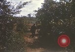Image of 1st Infantry Division Lai Khe South Vietnam, 1968, second 25 stock footage video 65675062035