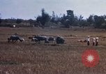 Image of 1st Infantry Division Lai Khe South Vietnam, 1968, second 35 stock footage video 65675062035