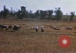 Image of 1st Infantry Division Lai Khe South Vietnam, 1968, second 37 stock footage video 65675062035