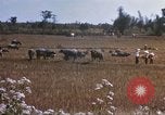 Image of 1st Infantry Division Lai Khe South Vietnam, 1968, second 38 stock footage video 65675062035