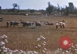 Image of 1st Infantry Division Lai Khe South Vietnam, 1968, second 39 stock footage video 65675062035
