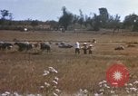 Image of 1st Infantry Division Lai Khe South Vietnam, 1968, second 40 stock footage video 65675062035