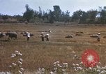 Image of 1st Infantry Division Lai Khe South Vietnam, 1968, second 41 stock footage video 65675062035
