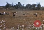 Image of 1st Infantry Division Lai Khe South Vietnam, 1968, second 42 stock footage video 65675062035