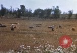 Image of 1st Infantry Division Lai Khe South Vietnam, 1968, second 43 stock footage video 65675062035