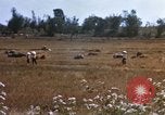 Image of 1st Infantry Division Lai Khe South Vietnam, 1968, second 44 stock footage video 65675062035